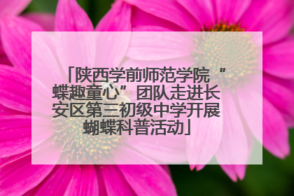 陕西学前师范学院“蝶趣童心”团队走进长安区第三初级中学开展蝴蝶科普活动