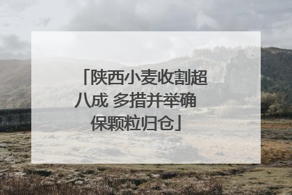 陕西小麦收割超八成 多措并举确保颗粒归仓