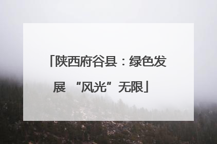 陕西府谷县：绿色发展 “风光”无限
