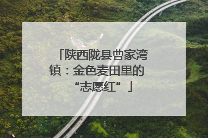 陕西陇县曹家湾镇：金色麦田里的“志愿红”