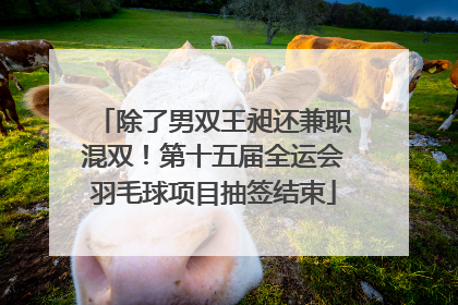 除了男双王昶还兼职混双！第十五届全运会羽毛球项目抽签结束