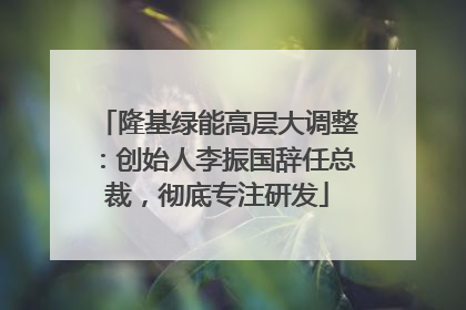 隆基绿能高层大调整：创始人李振国辞任总裁，彻底专注研发