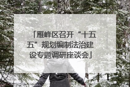 雁峰区召开“十五五”规划编制法治建设专题调研座谈会