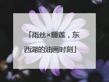 雨丝×睡莲，东西湖的油画时刻