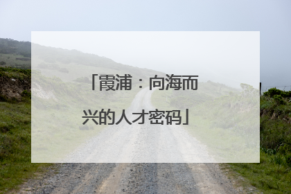 霞浦：向海而兴的人才密码