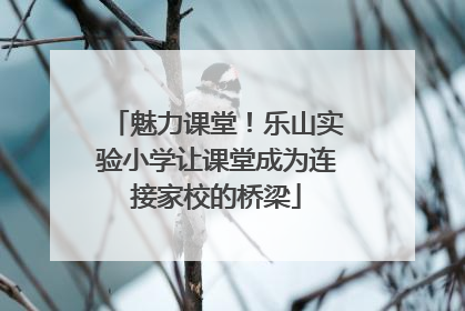 魅力课堂！乐山实验小学让课堂成为连接家校的桥梁