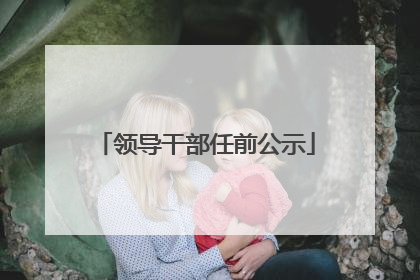 领导干部任前公示