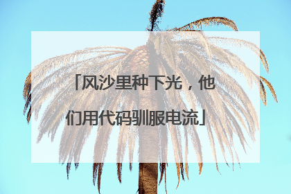 风沙里种下光，他们用代码驯服电流