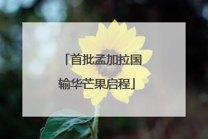 首批孟加拉国输华芒果启程