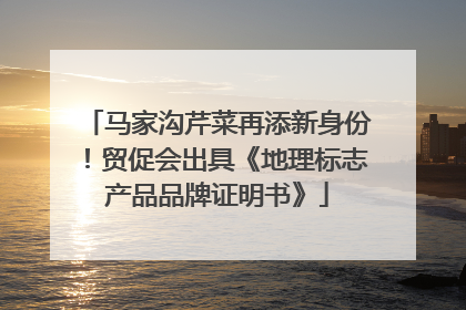 马家沟芹菜再添新身份！贸促会出具《地理标志产品品牌证明书》