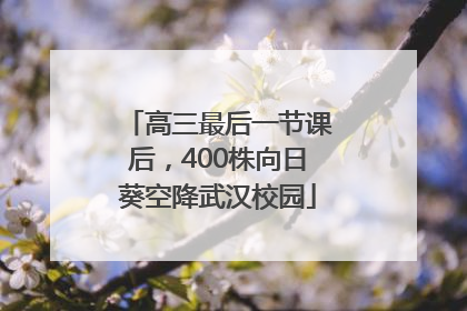 高三最后一节课后，400株向日葵空降武汉校园