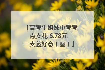 高考生姐妹中考考点卖花 6.78元一支藏好意（图）