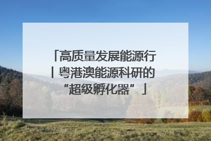 高质量发展能源行丨粤港澳能源科研的“超级孵化器”