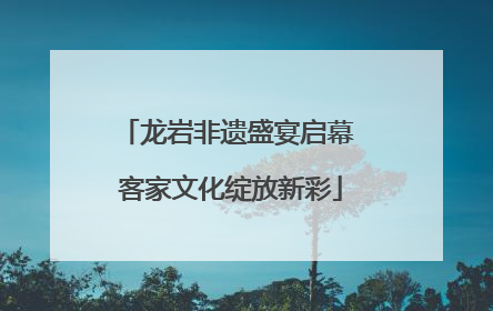 龙岩非遗盛宴启幕 客家文化绽放新彩