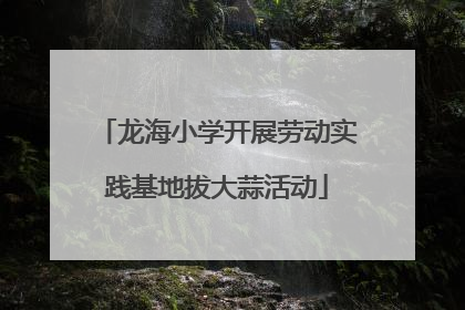 龙海小学开展劳动实践基地拔大蒜活动