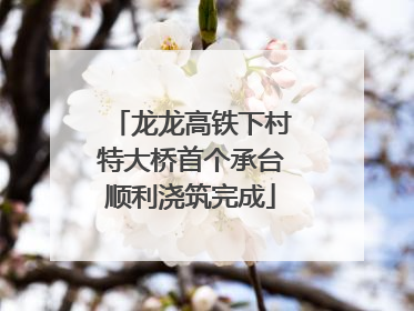 龙龙高铁下村特大桥首个承台顺利浇筑完成