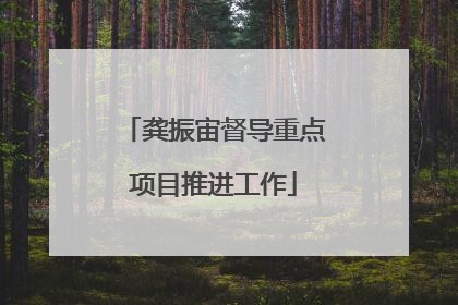 龚振宙督导重点项目推进工作