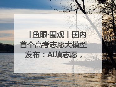 鱼眼·围观丨国内首个高考志愿大模型发布：AI填志愿，靠不靠谱？