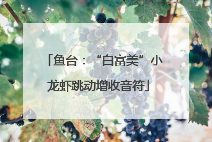 鱼台：“白富美”小龙虾跳动增收音符