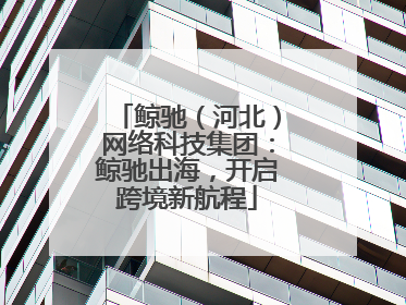 鲸驰（河北）网络科技集团：鲸驰出海，开启跨境新航程