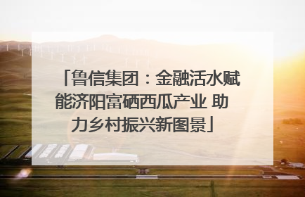 鲁信集团：金融活水赋能济阳富硒西瓜产业 助力乡村振兴新图景
