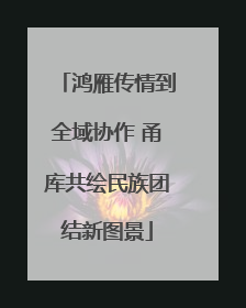 鸿雁传情到全域协作 甬库共绘民族团结新图景
