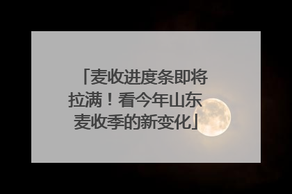 麦收进度条即将拉满！看今年山东麦收季的新变化