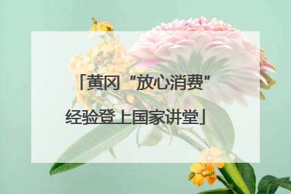 黄冈“放心消费”经验登上国家讲堂