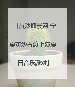黄沙拥长河 宁夏黄沙古渡上演夏日音乐派对