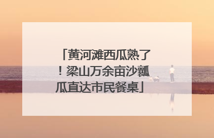 黄河滩西瓜熟了！梁山万余亩沙瓤瓜直达市民餐桌