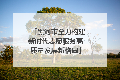 黑河市全力构建新时代志愿服务高质量发展新格局