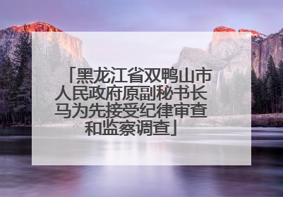 黑龙江省双鸭山市人民政府原副秘书长马为先接受纪律审查和监察调查