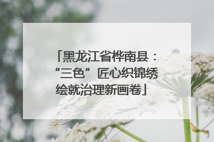 黑龙江省桦南县：“三色”匠心织锦绣 绘就治理新画卷