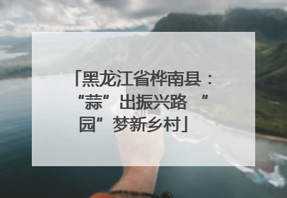 黑龙江省桦南县：“蒜”出振兴路 “园”梦新乡村