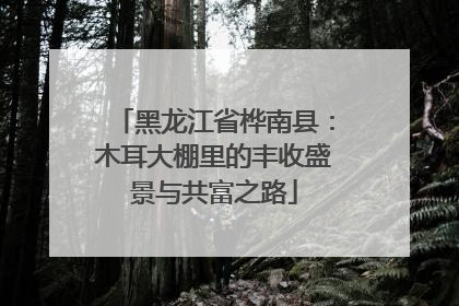 黑龙江省桦南县:木耳大棚里的丰收盛景与共富之路