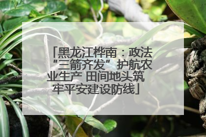 黑龙江桦南：政法“三箭齐发”护航农业生产 田间地头筑牢平安建设防线