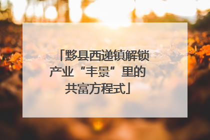 黟县西递镇解锁产业“丰景”里的共富方程式