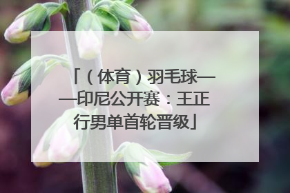 （体育）羽毛球——印尼公开赛：王正行男单首轮晋级