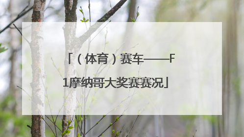 （体育）赛车——F1摩纳哥大奖赛赛况