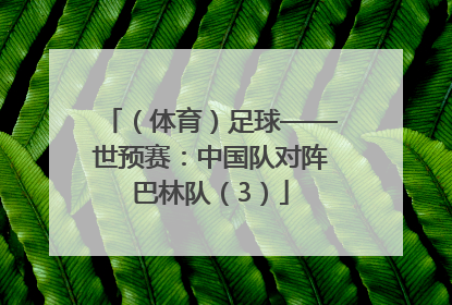 （体育）足球——世预赛：中国队对阵巴林队（3）
