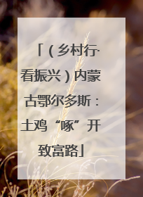 （乡村行·看振兴）内蒙古鄂尔多斯：土鸡“啄”开致富路