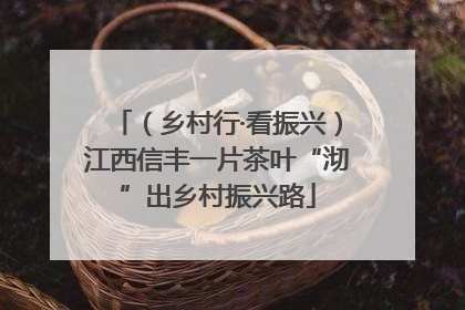（乡村行·看振兴）江西信丰一片茶叶“沏”出乡村振兴路