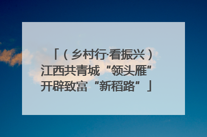 （乡村行·看振兴）江西共青城“领头雁”开辟致富“新稻路”