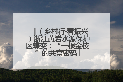 （乡村行·看振兴）浙江黄岩水源保护区蝶变：“一根金枝”的共富密码