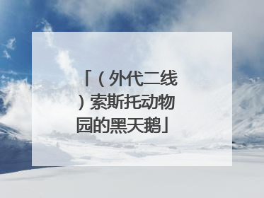 （外代二线）索斯托动物园的黑天鹅