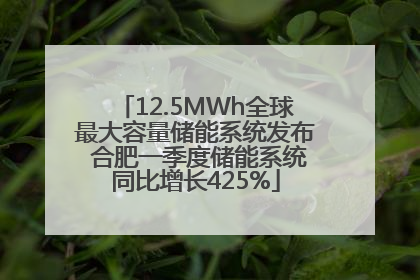 12.5MWh全球最大容量储能系统发布 合肥一季度储能系统同比增长425%