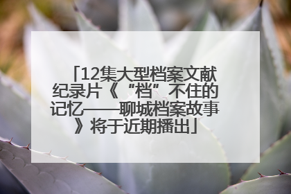 12集大型档案文献纪录片《“档”不住的记忆——聊城档案故事》将于近期播出