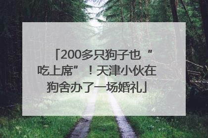 200多只狗子也“吃上席”！天津小伙在狗舍办了一场婚礼