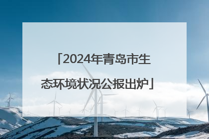 2024年青岛市生态环境状况公报出炉