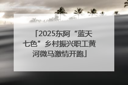2025东阿“蓝天七色”乡村振兴职工黄河微马激情开跑